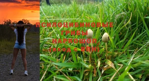 PSILOCYBIN Беломорск
