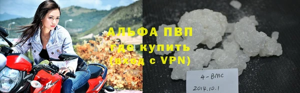 сатива Белоозёрский